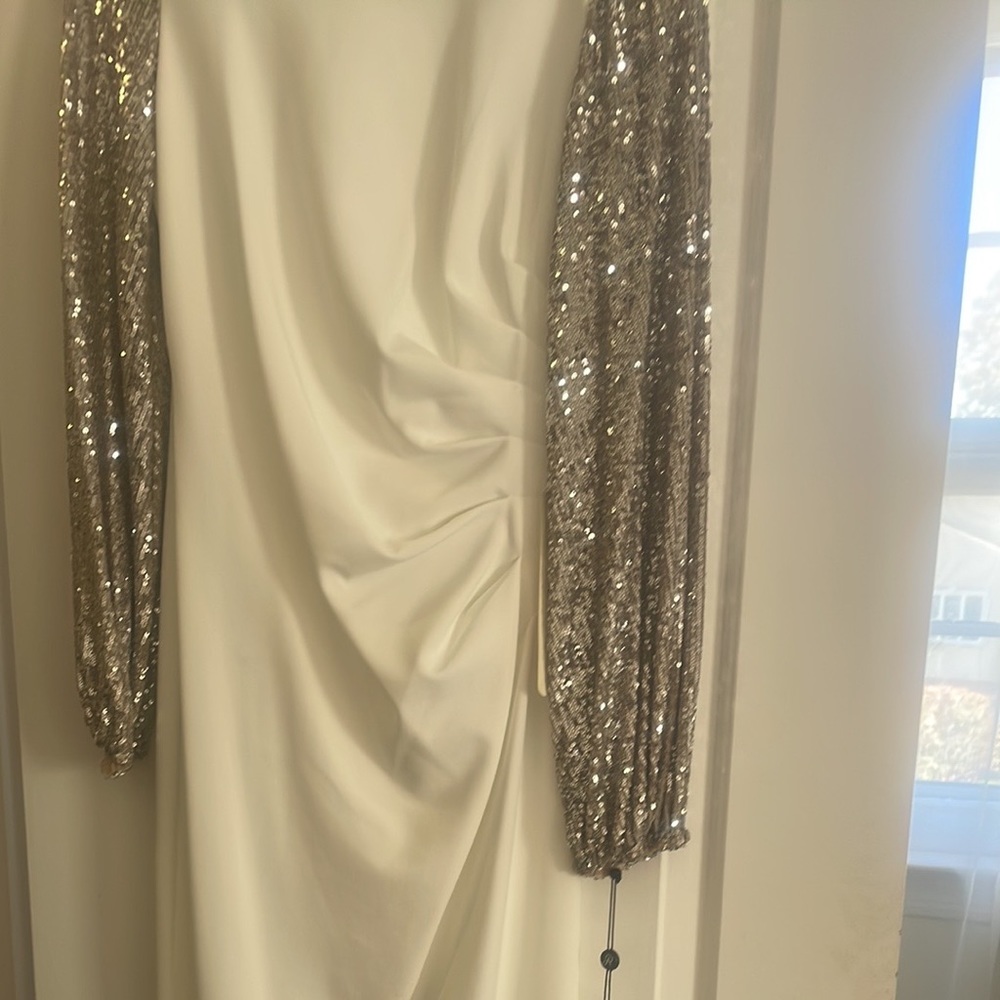 Adrianna Papell gown
